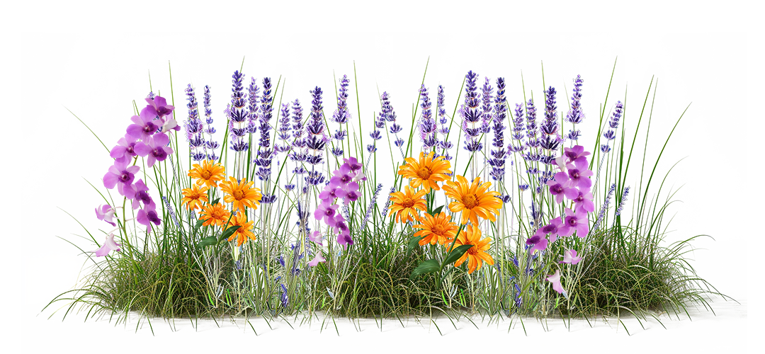 Clarabelle's Garden